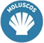 Moluscos