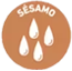 Sésamo